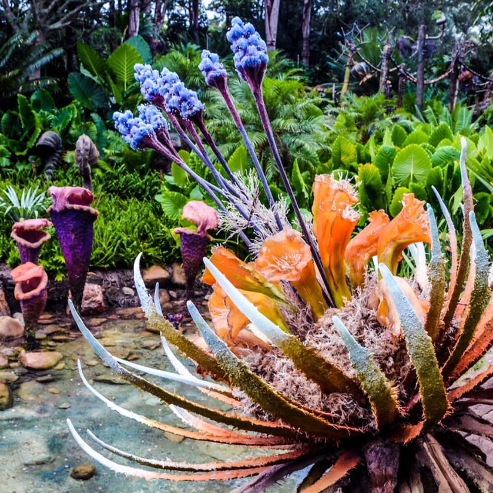 Meet your Posher, Isa